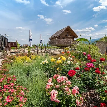 Хотел Glamping Alliance 4*